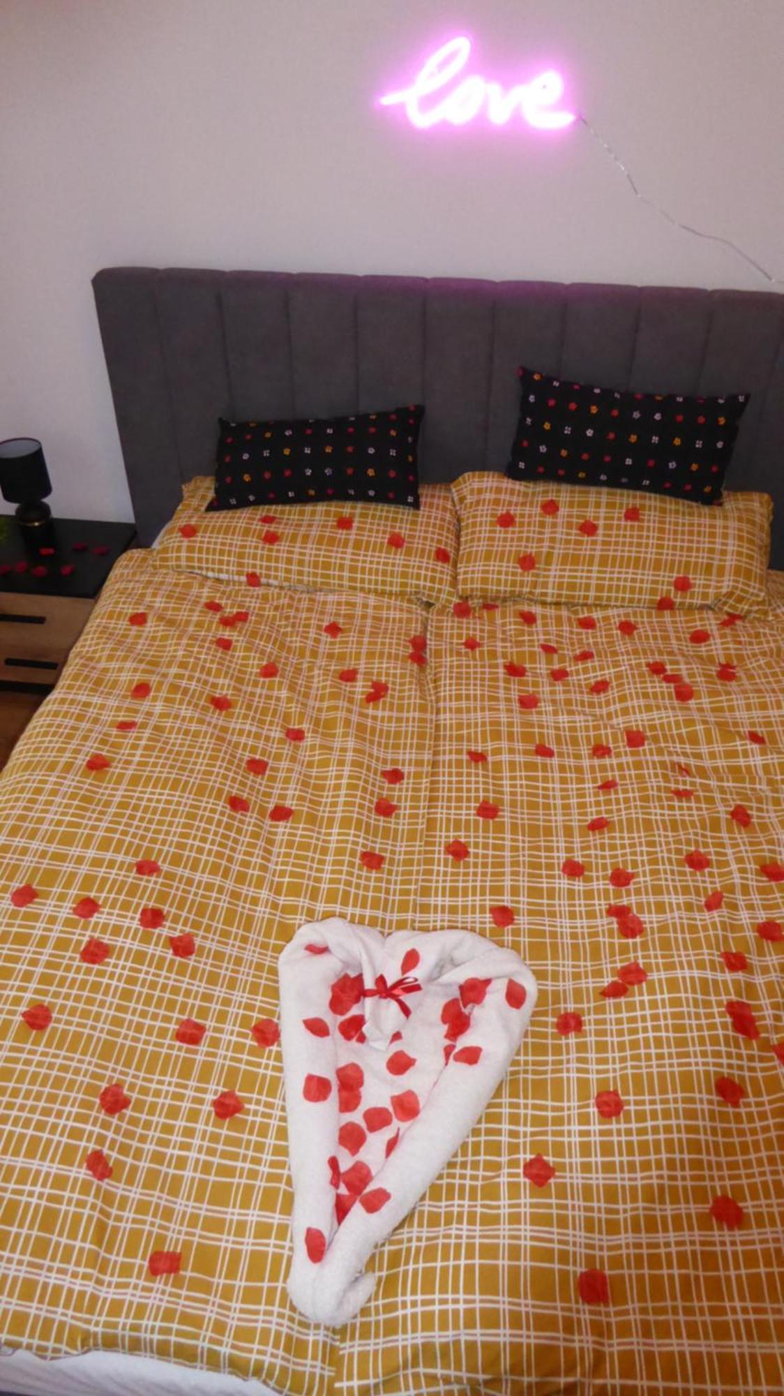 Apartament Love On 5 - Milosc Na 5 Легница Экстерьер фото